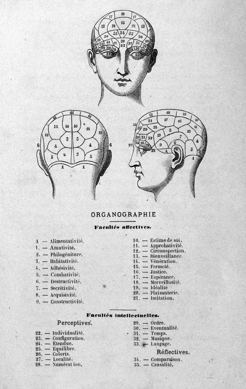 Ilustración del libro de Charles Rouvin de 1873 Organographie La Tête humaine, estudios ilustrados de frenología y fisionomía aplicados a personajes famosos, París 1873 de Unknown artist