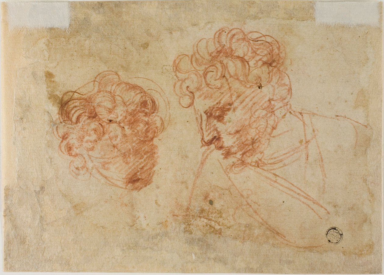 Dos bocetos de cabezas (anverso); Dos bocetos de mujer drapeada (reverso) de Unknown Florentine