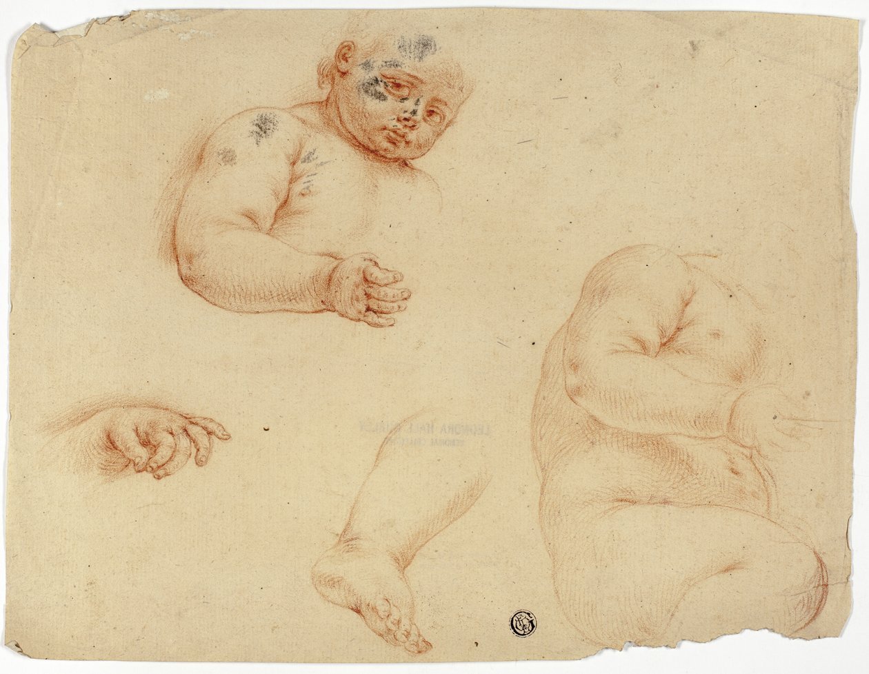 Bocetos de un niño:  Medio cuerpo, torso, pie, mano de Unknown Lombard