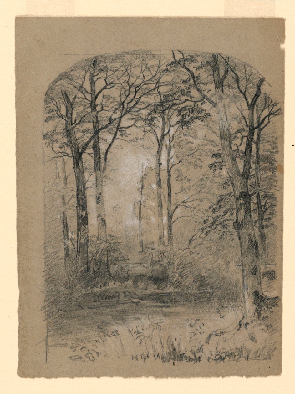 Dibujo, Estudio de bosque, 1865-70 de Unknown artistUnknown artist