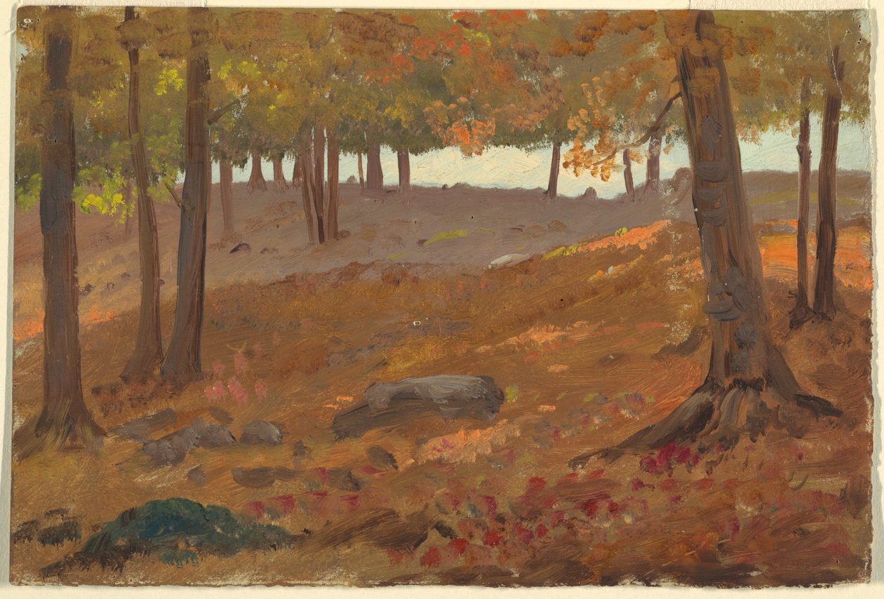 Dibujo, Bosques en otoño, 1870-80 de Unknown artistUnknown artist