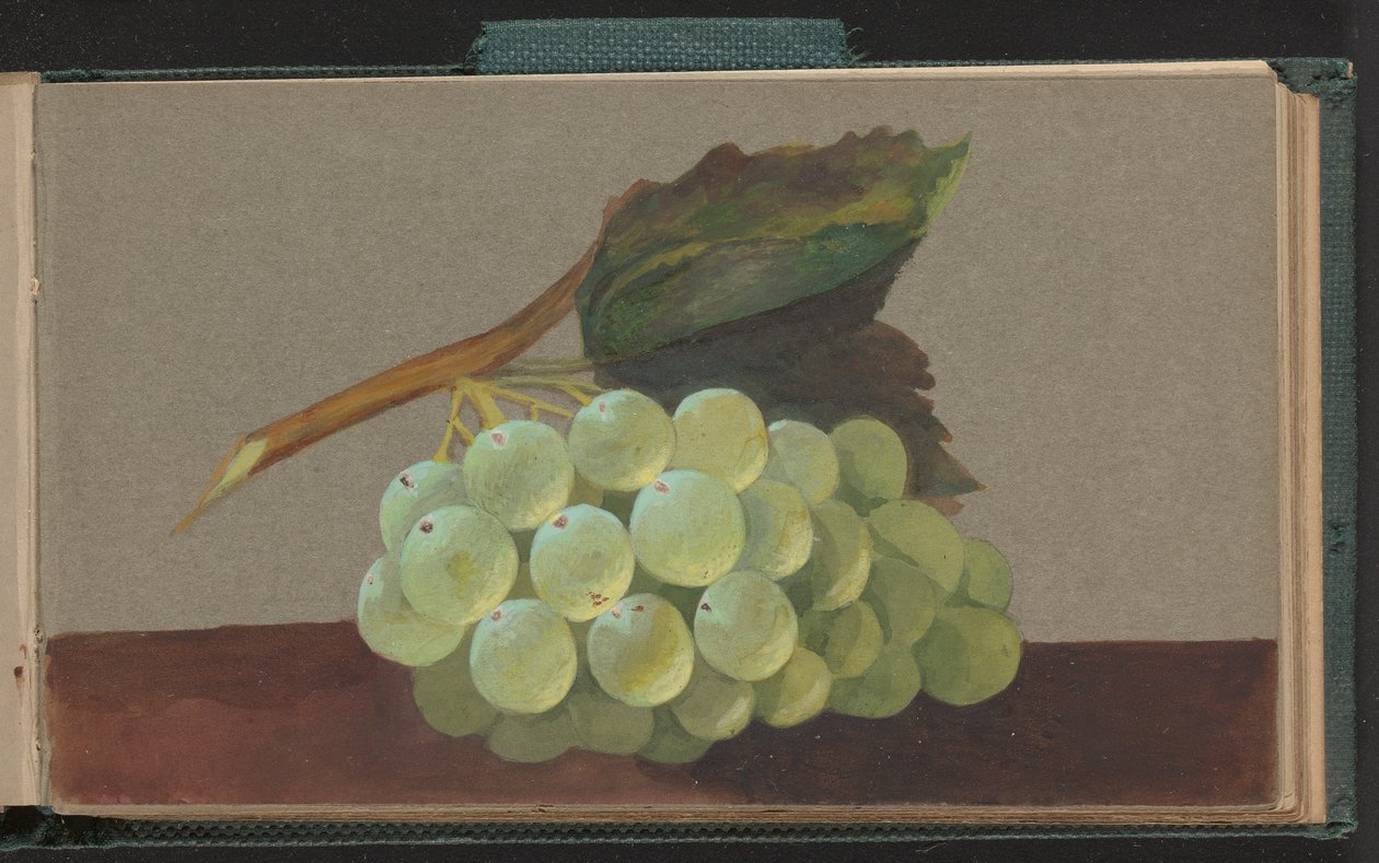 Un racimo de uvas de Unknown artist