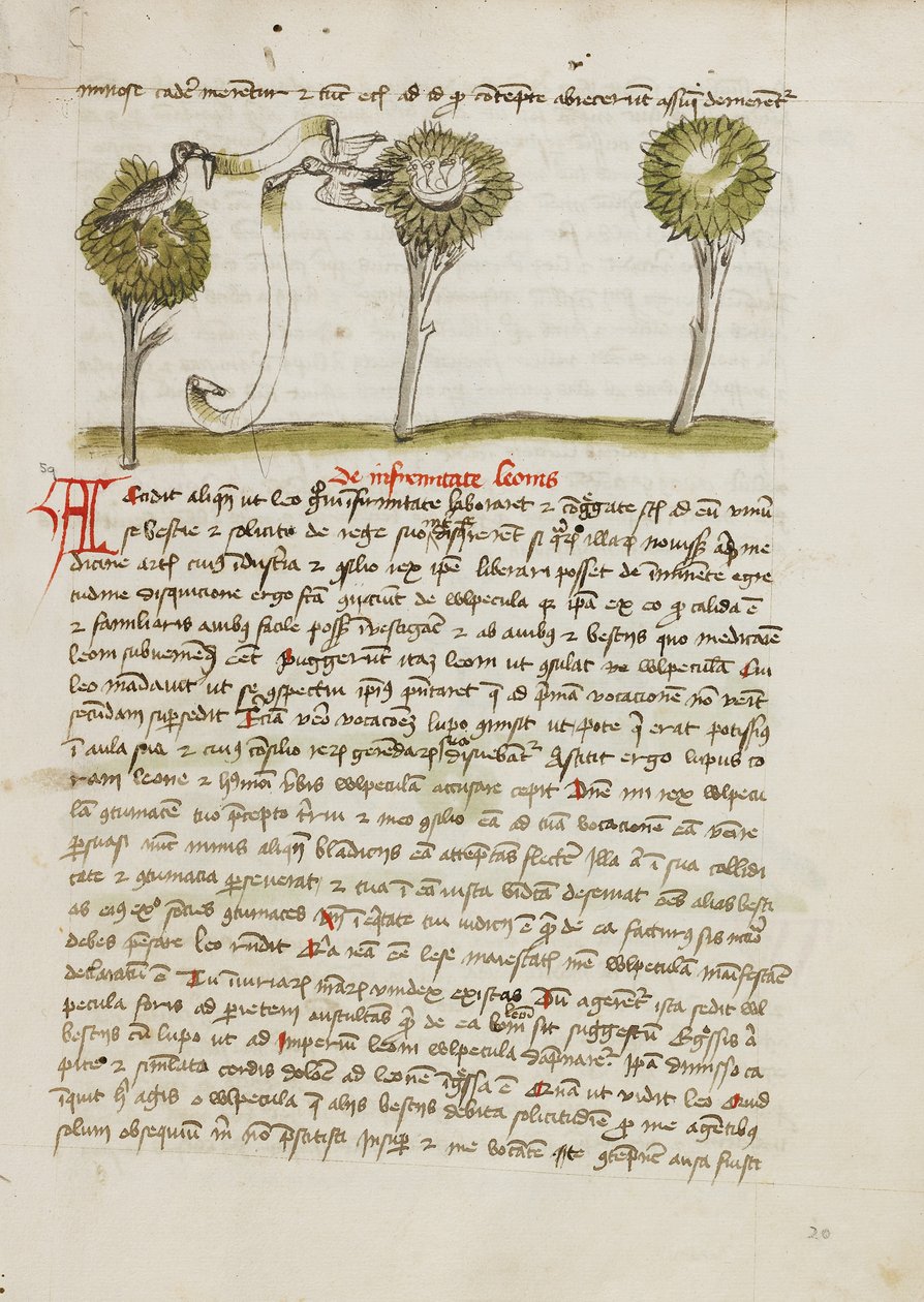 Un azor en un árbol y un ruiseñor volando lejos de su nido de Unknown artist