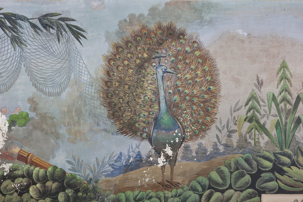 Un pavo real, detalle de 3743687 (fresco) de Unknown artist