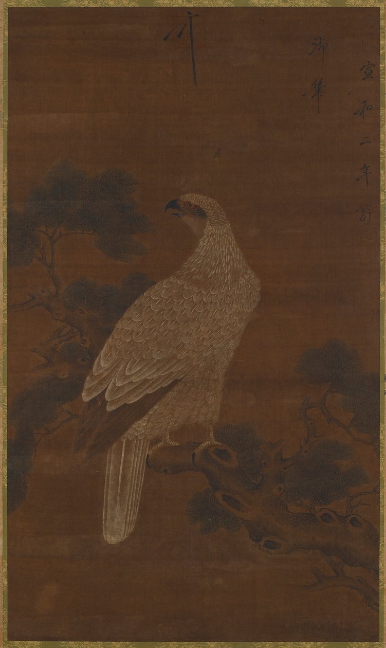 Un águila blanca en una rama de pino de Unknown artist