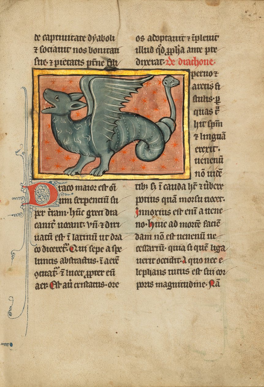 Un dragón alado de Unknown artist