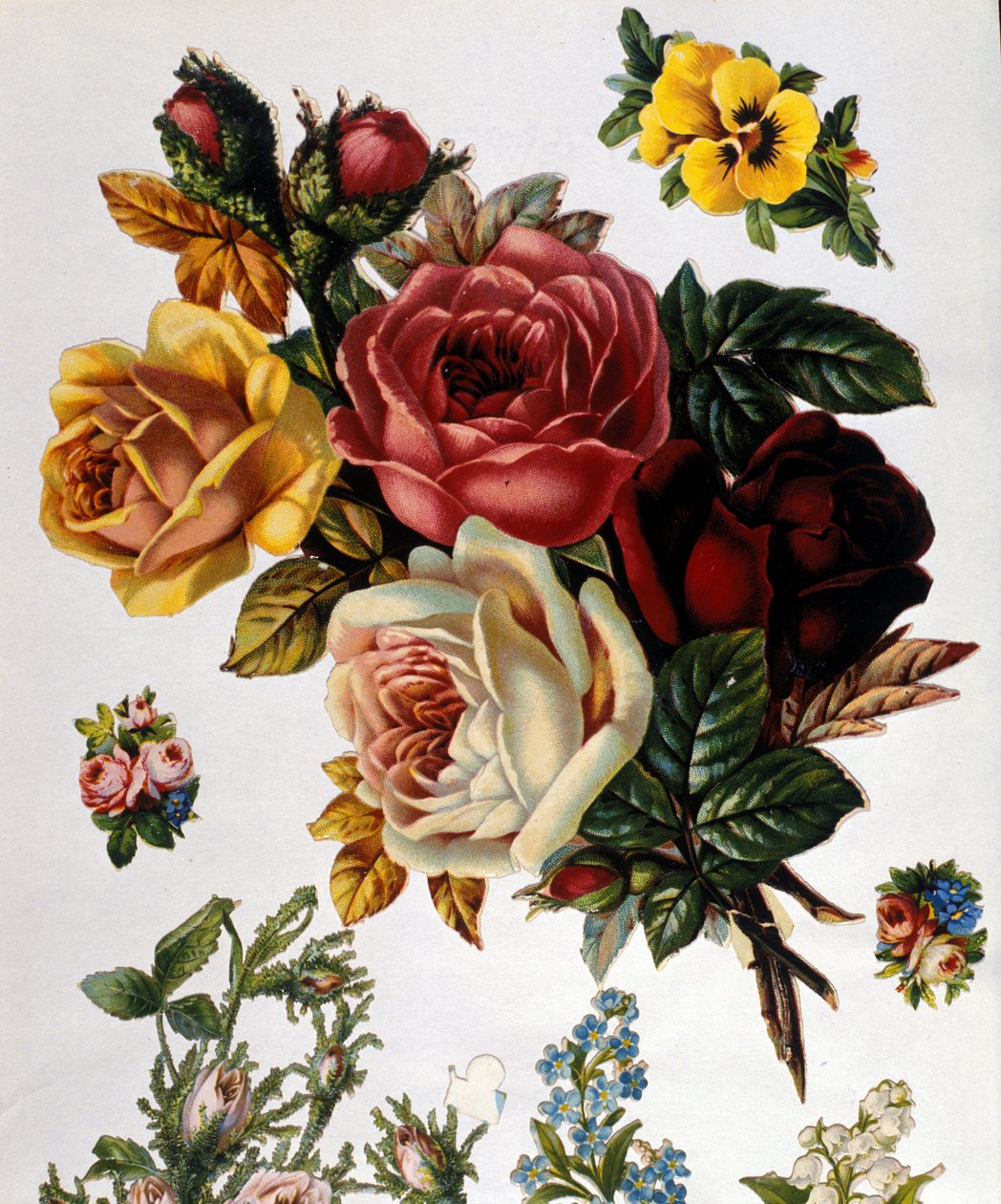 Un ramo de rosas. de Unknown artist