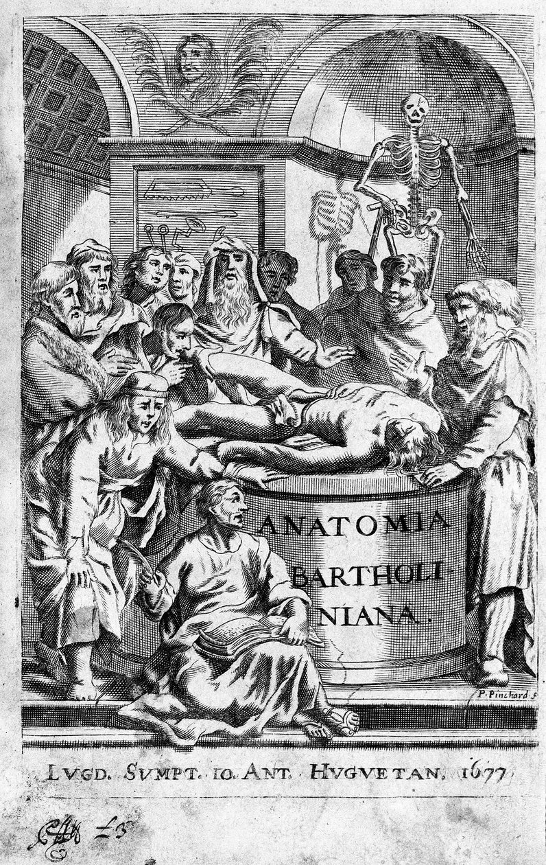 Una lección de anatomía. Frontispicio tomado de 