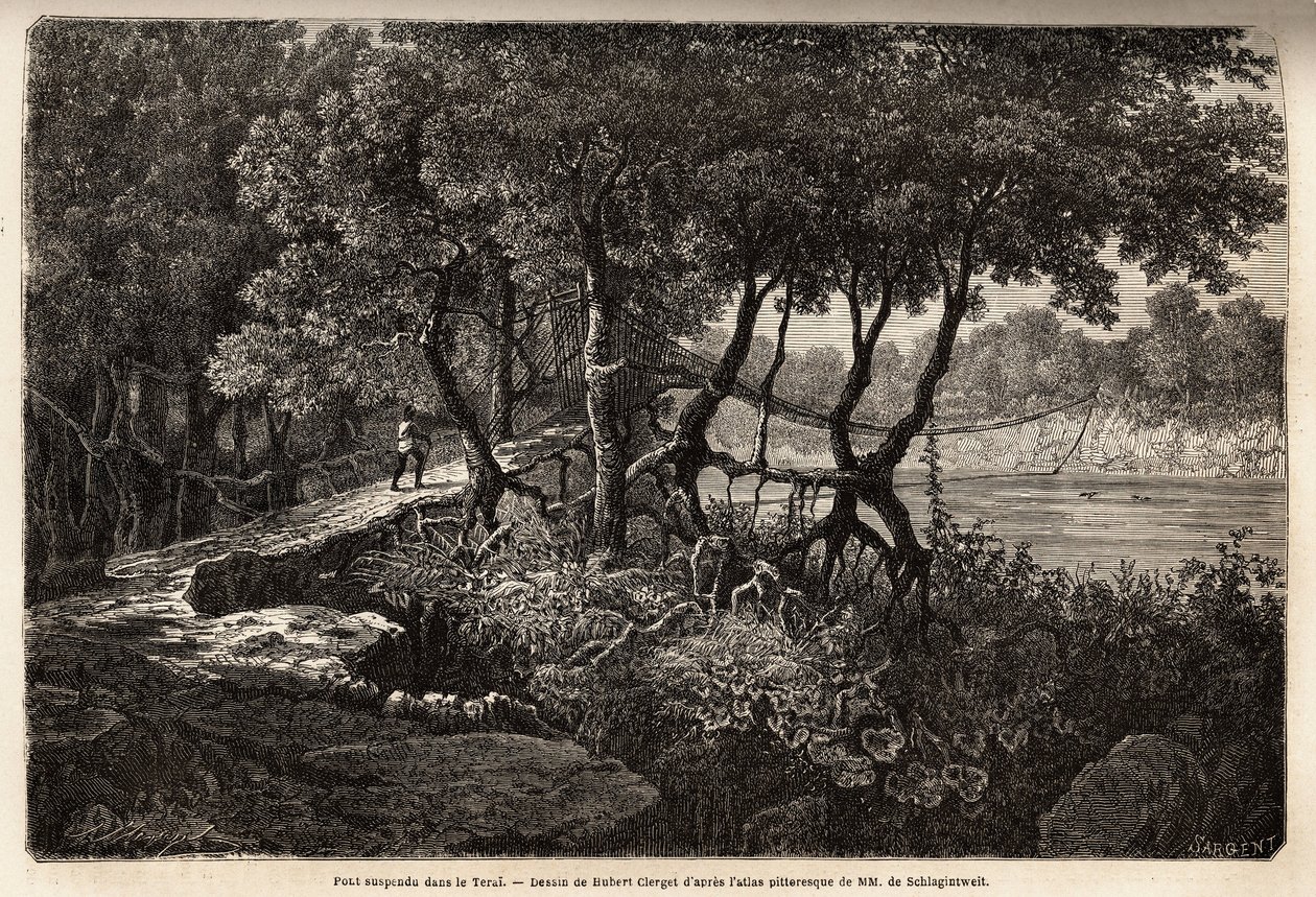 Un puente colgante en el Terai (“Humedal”), esta área de praderas pantanosas forma la base del Himalaya y bordea Nepal al sur de la frontera india. Grabado para ilustrar la exploración de Asia Superior de 1854 a 1857, por los hermanos Schlagintweit de Unknown artist