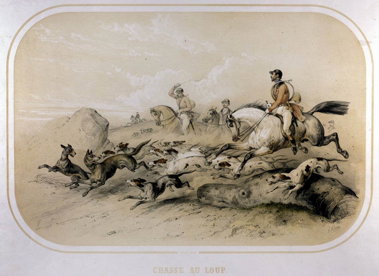 Caza de lobos. Grabado del siglo XIX de Unknown artist