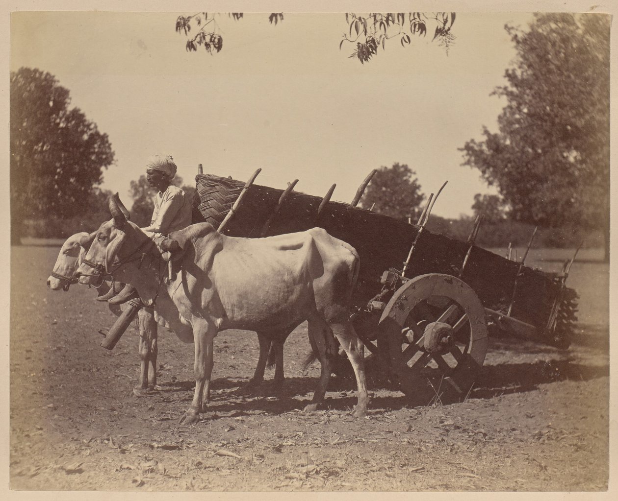 Carro agrícola, Guzerat de Unknown artist