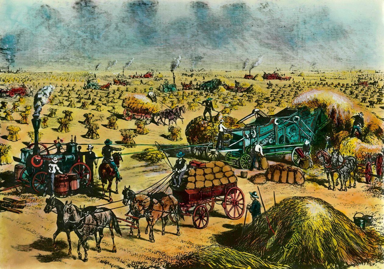 Revolución agrícola: cosecha de trigo en Dakota con máquinas de vapor en el siglo XIX de Unknown artist