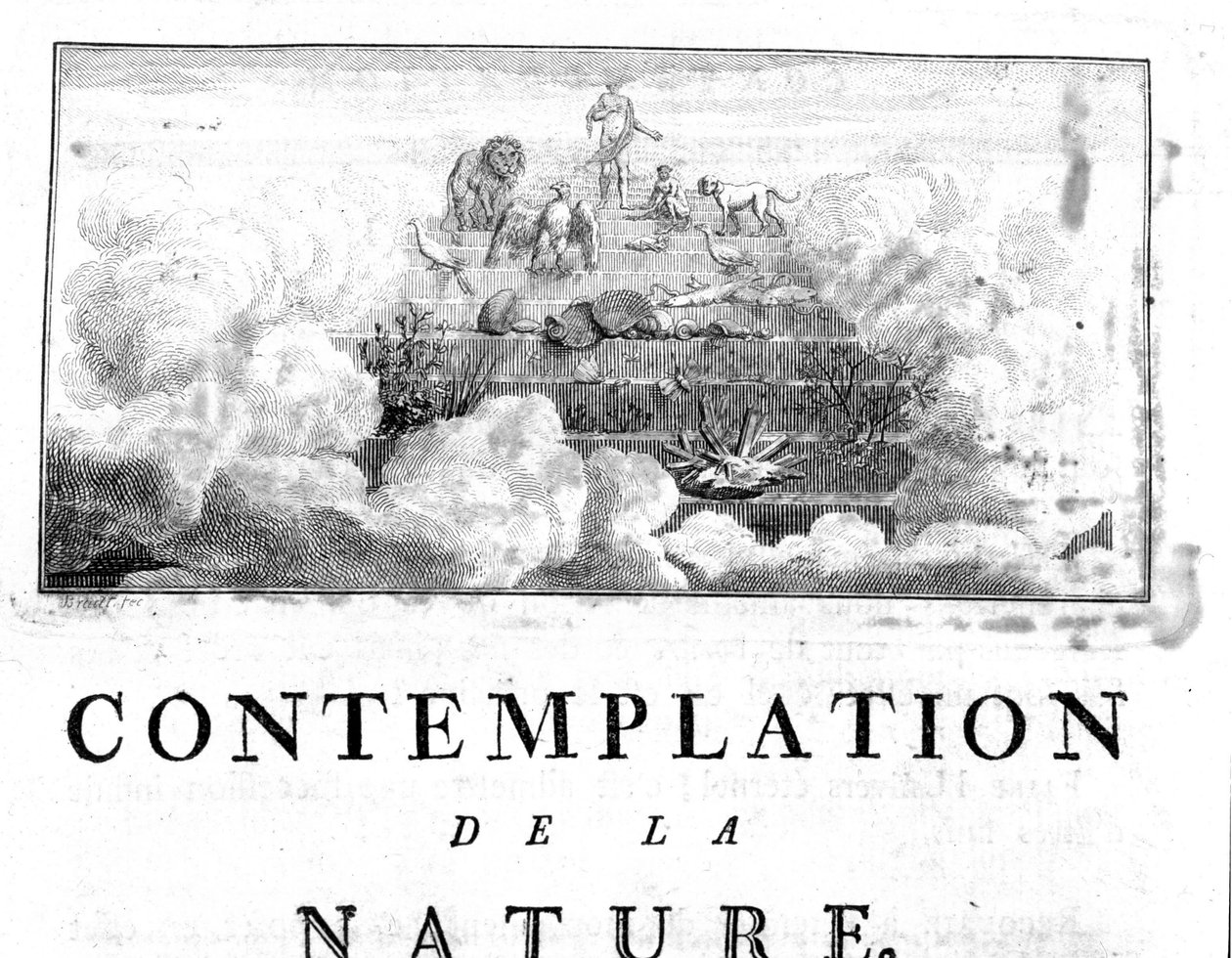 Representación alegórica de la evolución del hombre de los minerales, pasando por especies vegetales y animales. Charles Bonnet, Contemplación de la Naturaleza, Neuchatel de Unknown artist