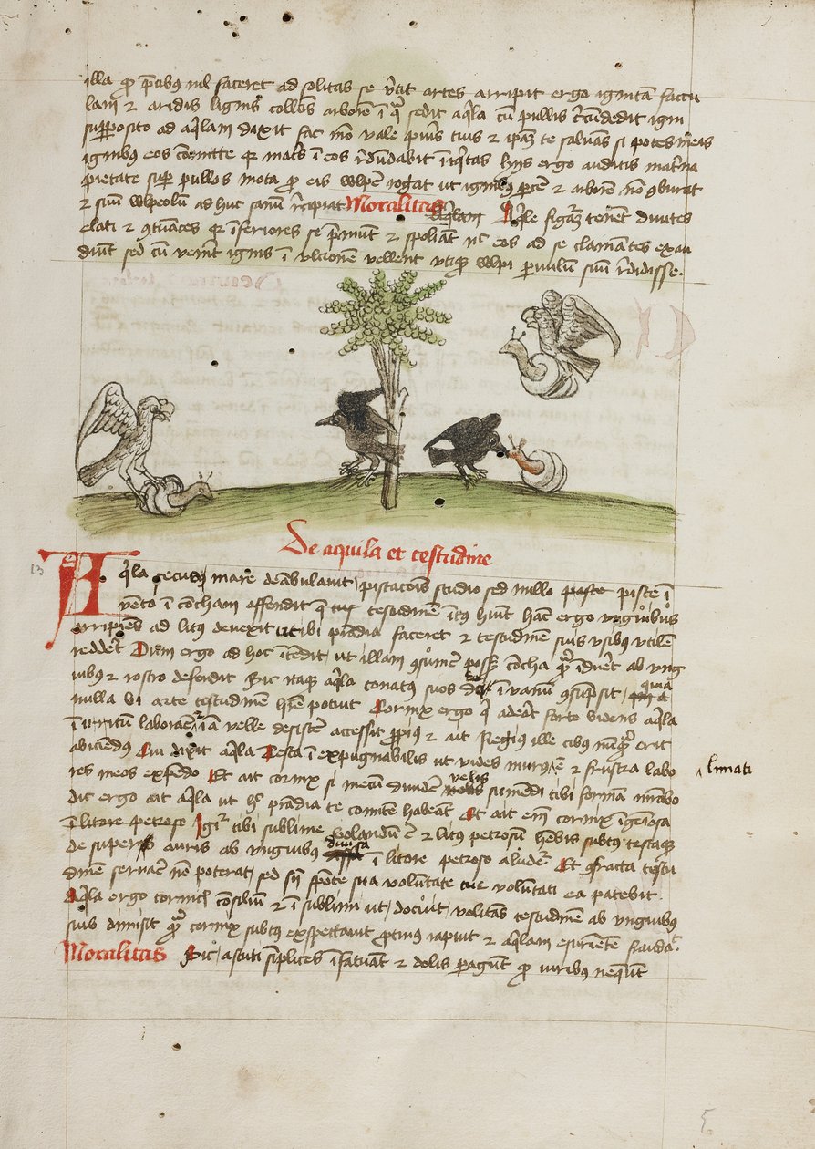 Un águila se apodera de un caracol; un cuervo picotea un caracol de Unknown artist