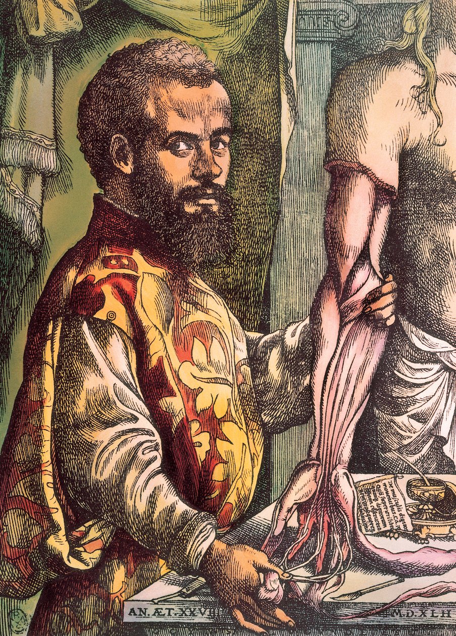 Andreas Vesalius (grabado) de Unknown artist