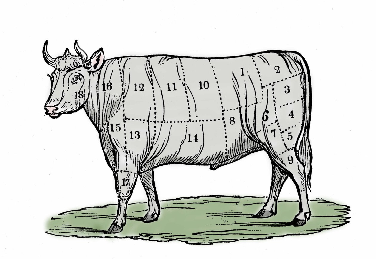 Ilustración anónima de finales del siglo XIX. de Unknown artist