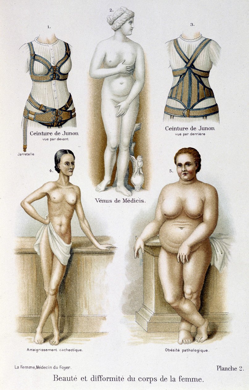 Belleza y deformidad del cuerpo de la mujer (delgadez y obesidad); cinturones de Juno - en "La mujer, médico del hogar" de Unknown artist