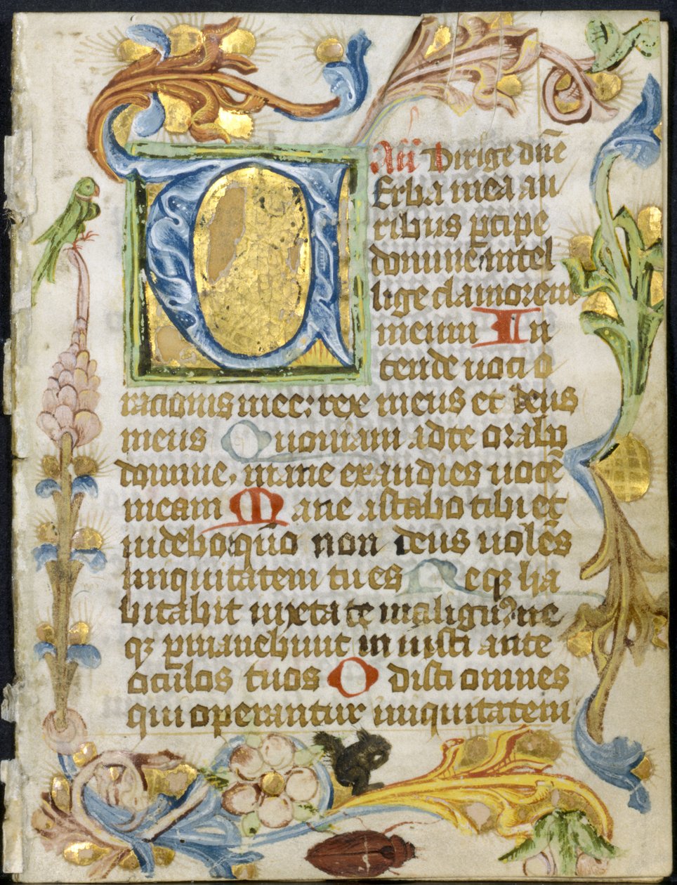 Bifolio de un Libro de Horas: Inicial V con Borde Floral de Unknown artist