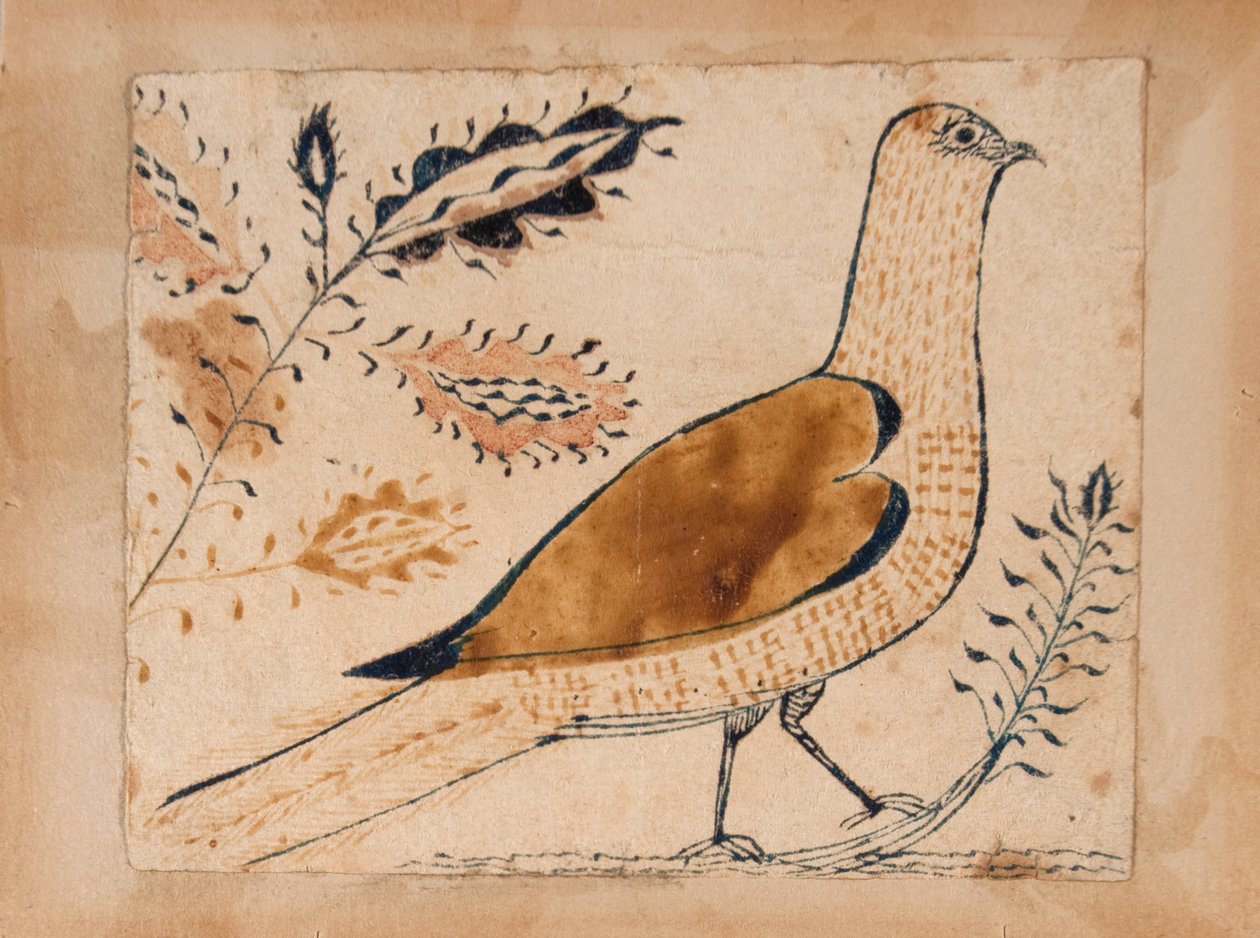 Pájaro de Unknown artist