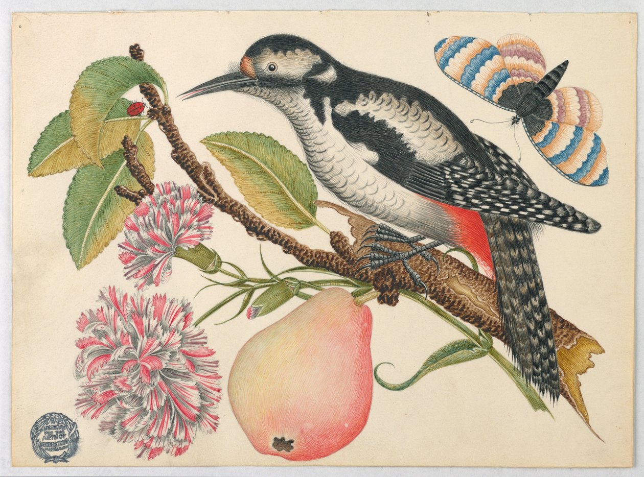 Pájaro, mariposa y pera de Unknown artist
