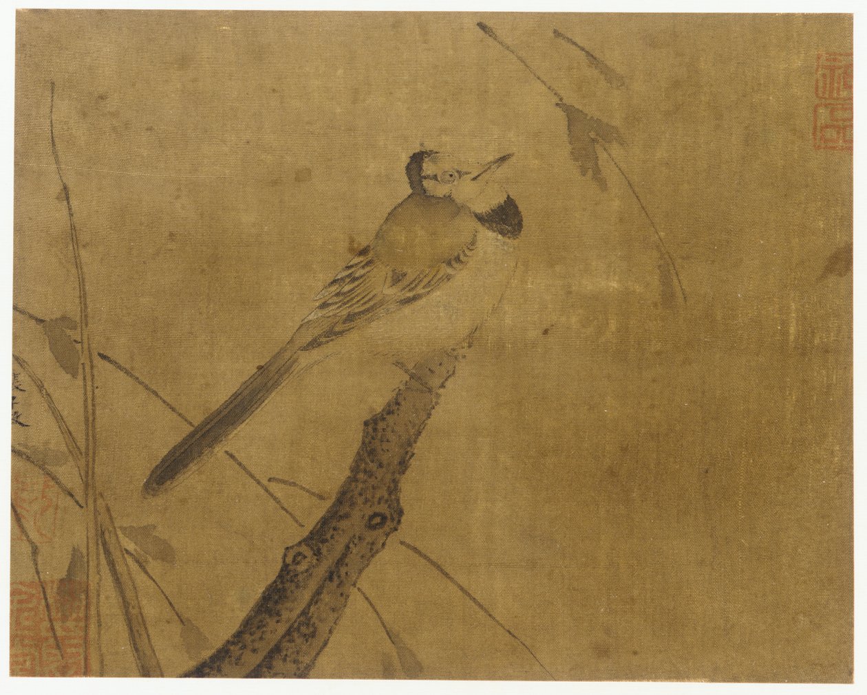 Pájaro en una rama sin hojas de Unknown artist