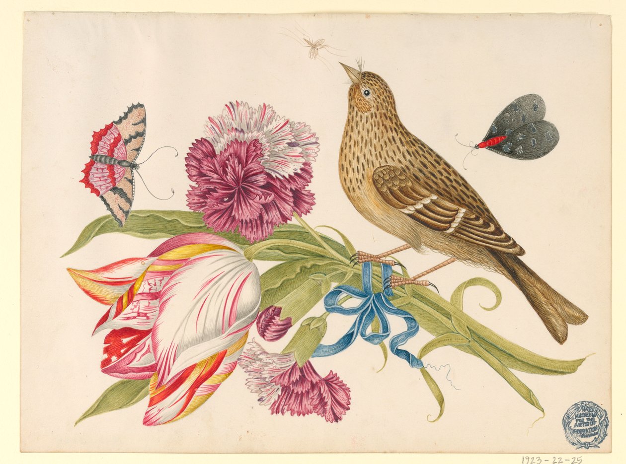 Pájaro con tulipán, clavel, mariposas e insecto de Unknown artist