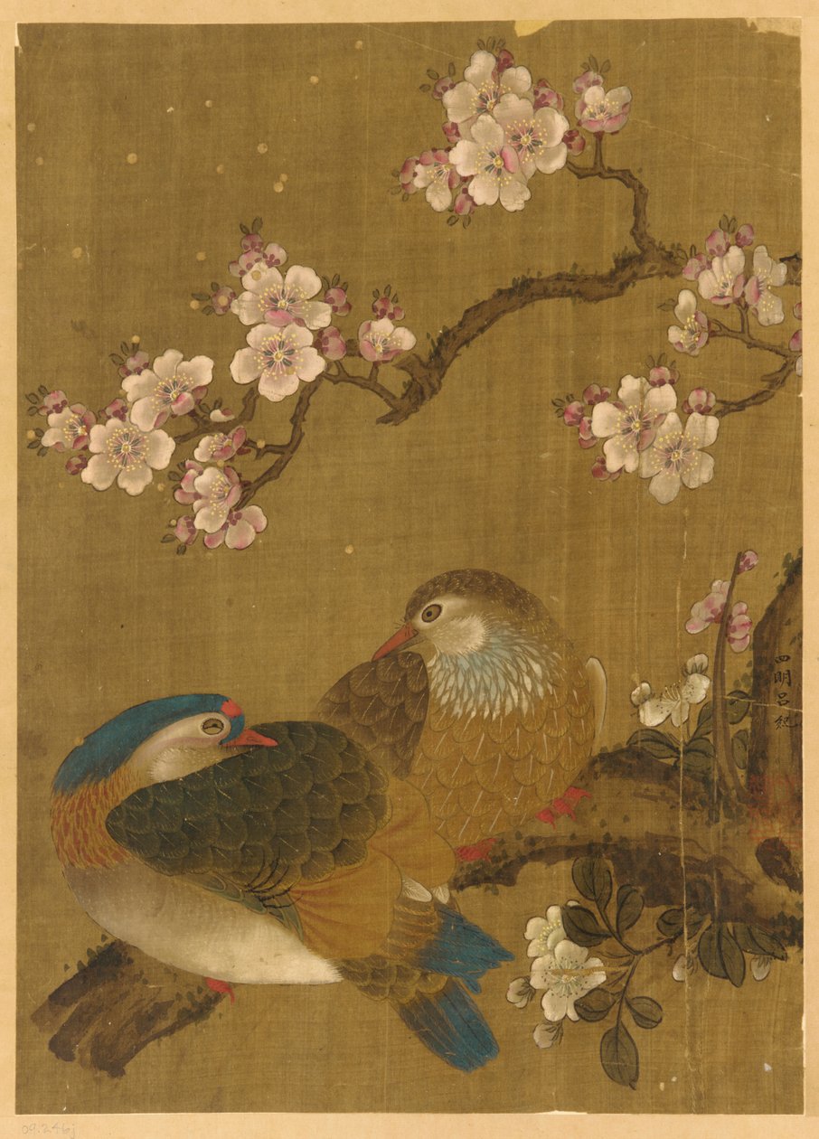 Aves y flores de ciruelo de Unknown artist