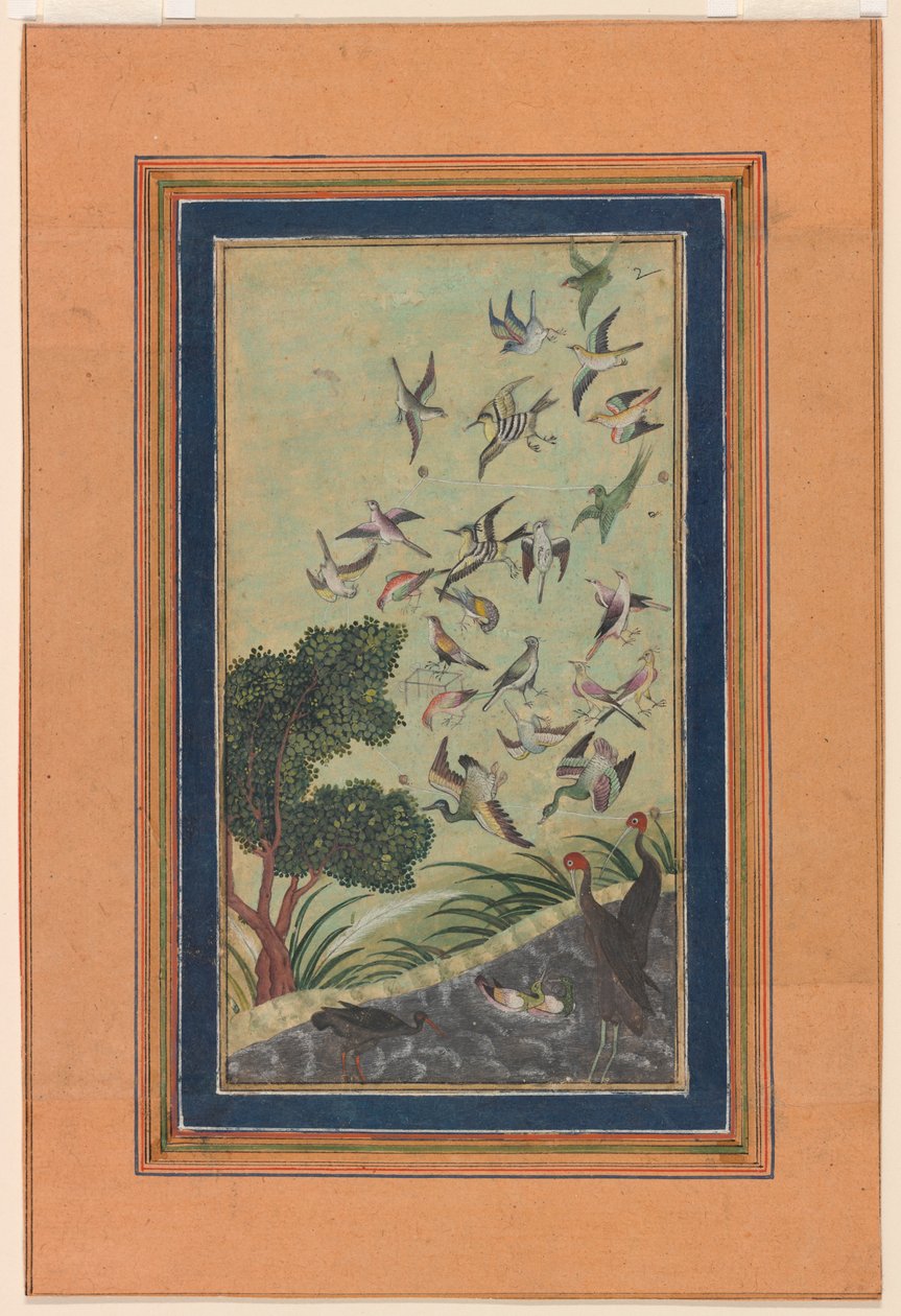 Aves en Baran, posiblemente del Babur-nama de Unknown artist