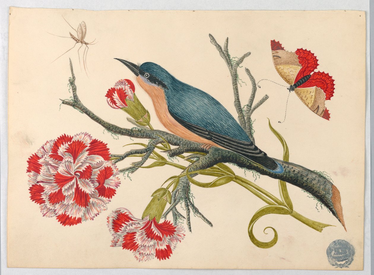 Pájaro azul en rama con claveles e insectos de Unknown artist