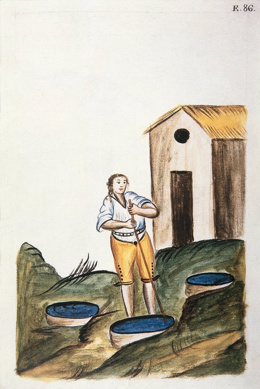 Bandeja de tinte azul usada para teñir lana, del libro "Trujillo del Perú" o "Códice Martínez Compañón", por Baltazar Martínez Compañón y Bujanda, obispo de Trujillo (1782-1785) de Unknown artist