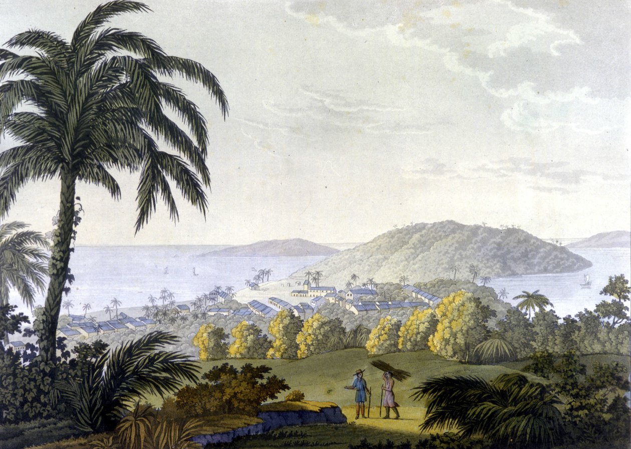 Brasil, vista de la ciudad de Ilheus en el estado de Bahía de Unknown artist