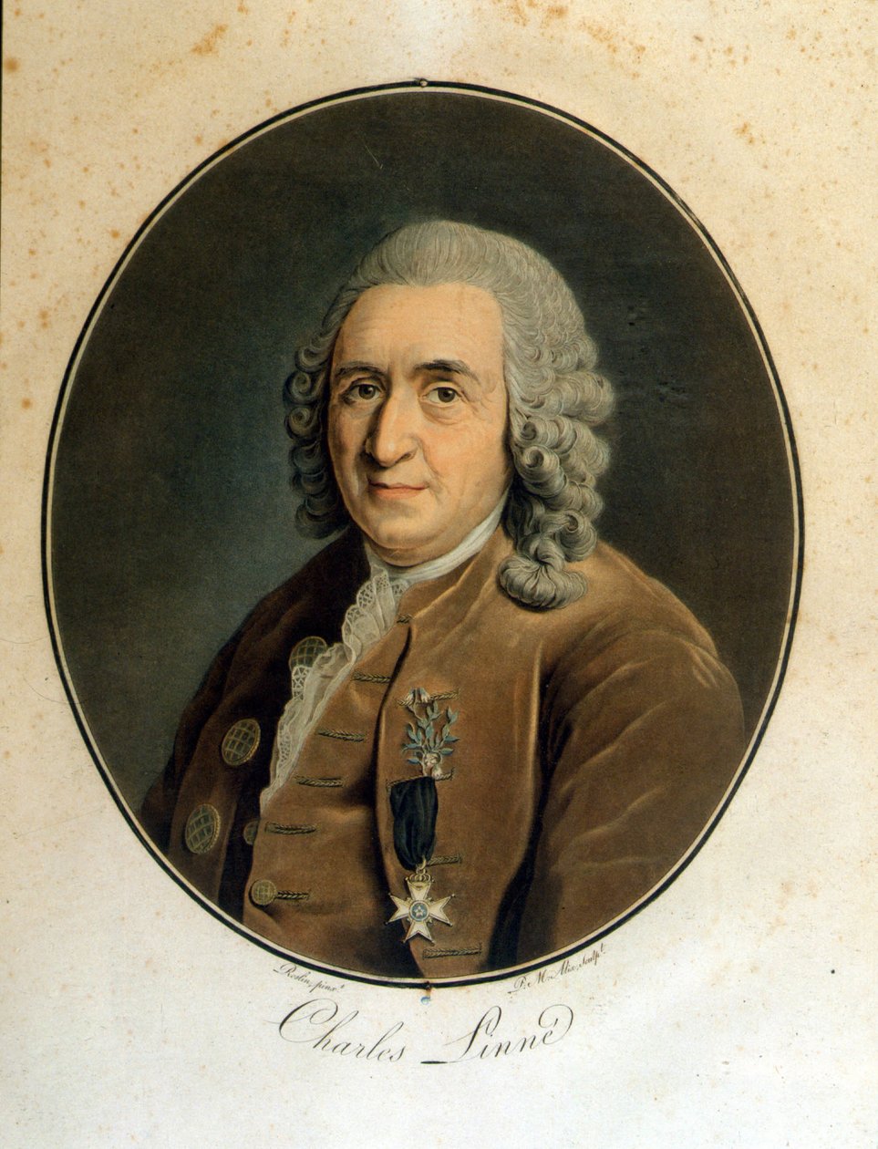 Carl Von Linné, naturalista y escritor sueco (1707 - 1778) de Unknown artist