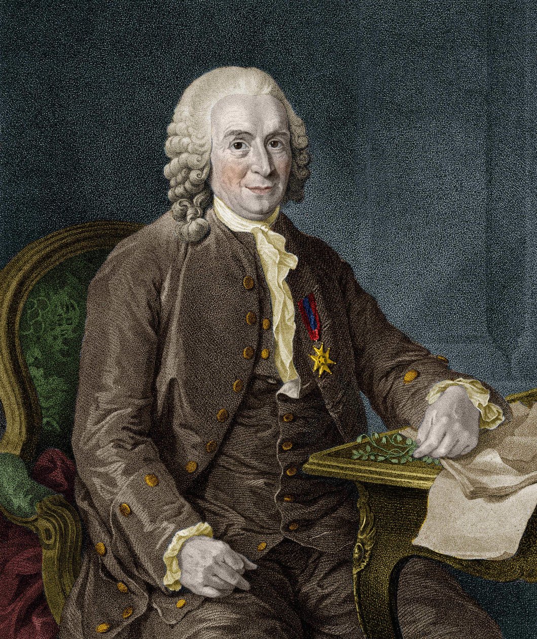 Carl Von Linné, naturalista y escritor sueco (1707 - 1778) de Unknown artist