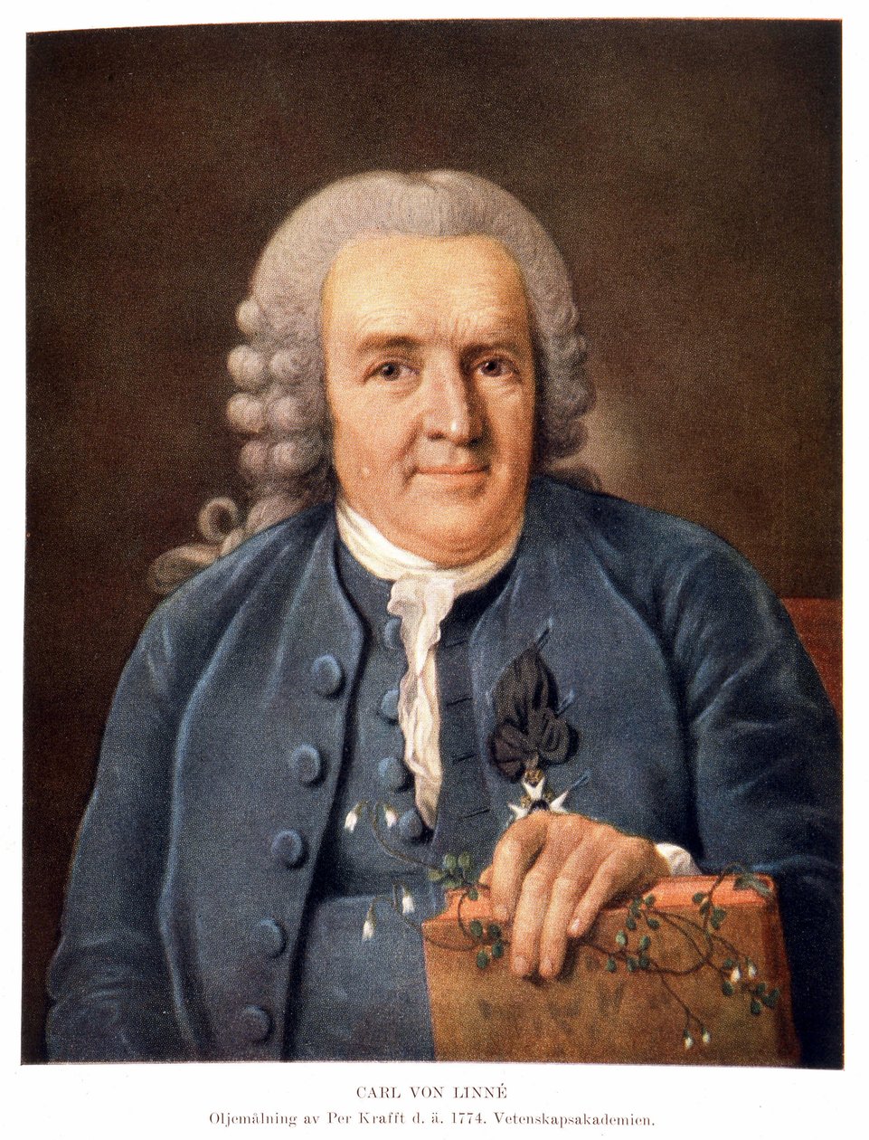 Carl Von Linné naturalista y escritor sueco de Unknown artist