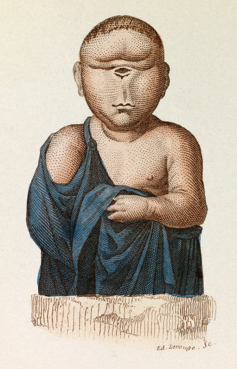 Niño tuerto, clasificado según la nomenclatura de Linneene y la clasificación de Cuvier (grabado) de Unknown artist