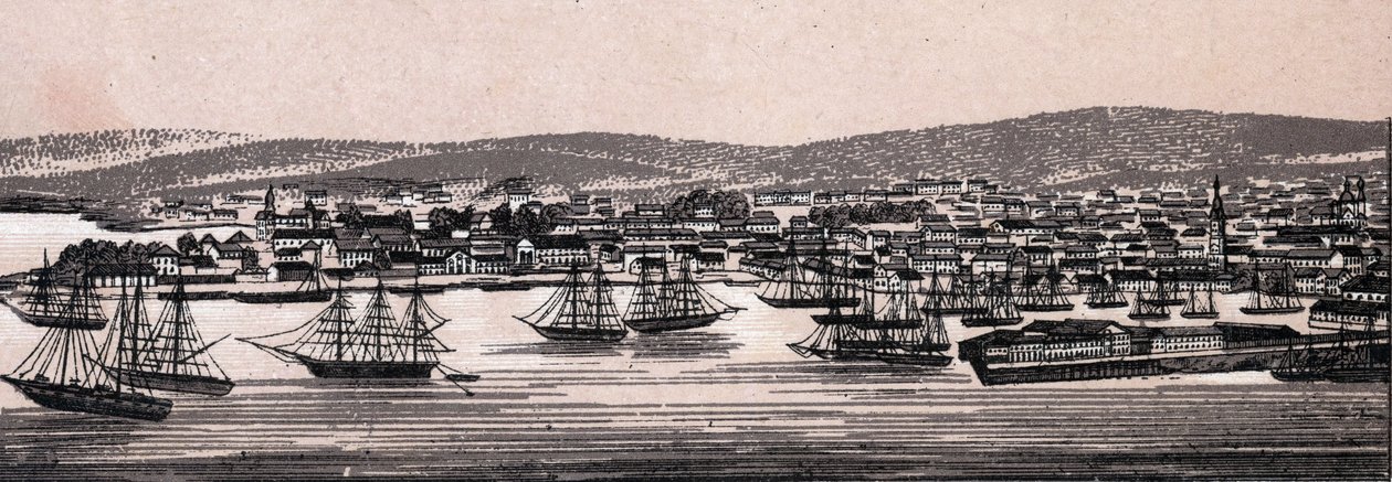 Christiania, Dinamarca: vista de la ciudad (Vista General). en "El mundo ilustra 168 vistas" Sin fecha (finales del siglo XIX) de Unknown artist