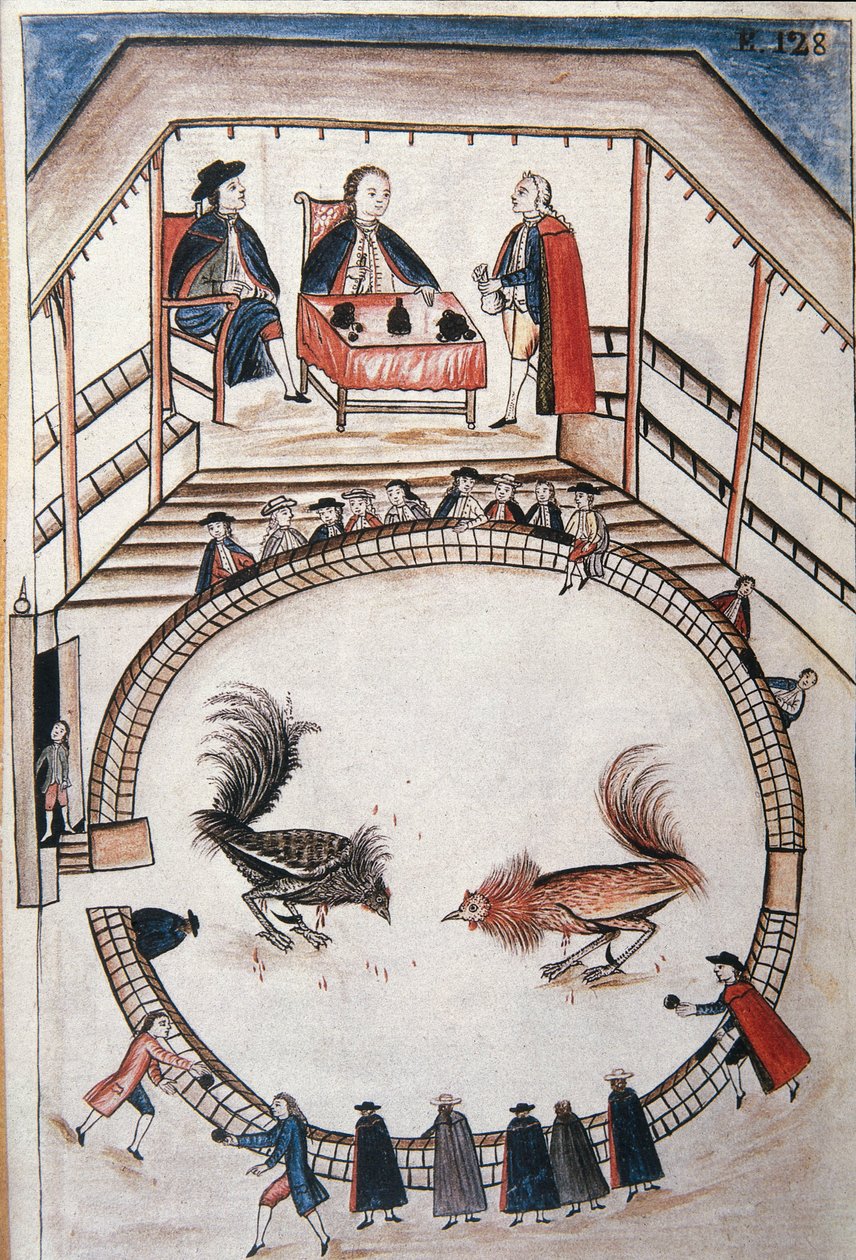 Pelea de gallos, un noble asiste al duelo, del libro "Trujillo del Perú" o "Códice Martínez Compañón", por Baltazar Martinez Compañón y Bujanda, obispo de Trujillo (1782-1785) de Unknown artist