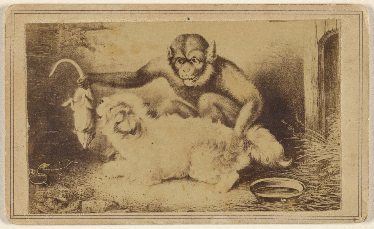 [Copia de un cuadro que representa a un mono sujetando a una rata por la cola delante de un pequeño perro blanco]. de Unknown artist