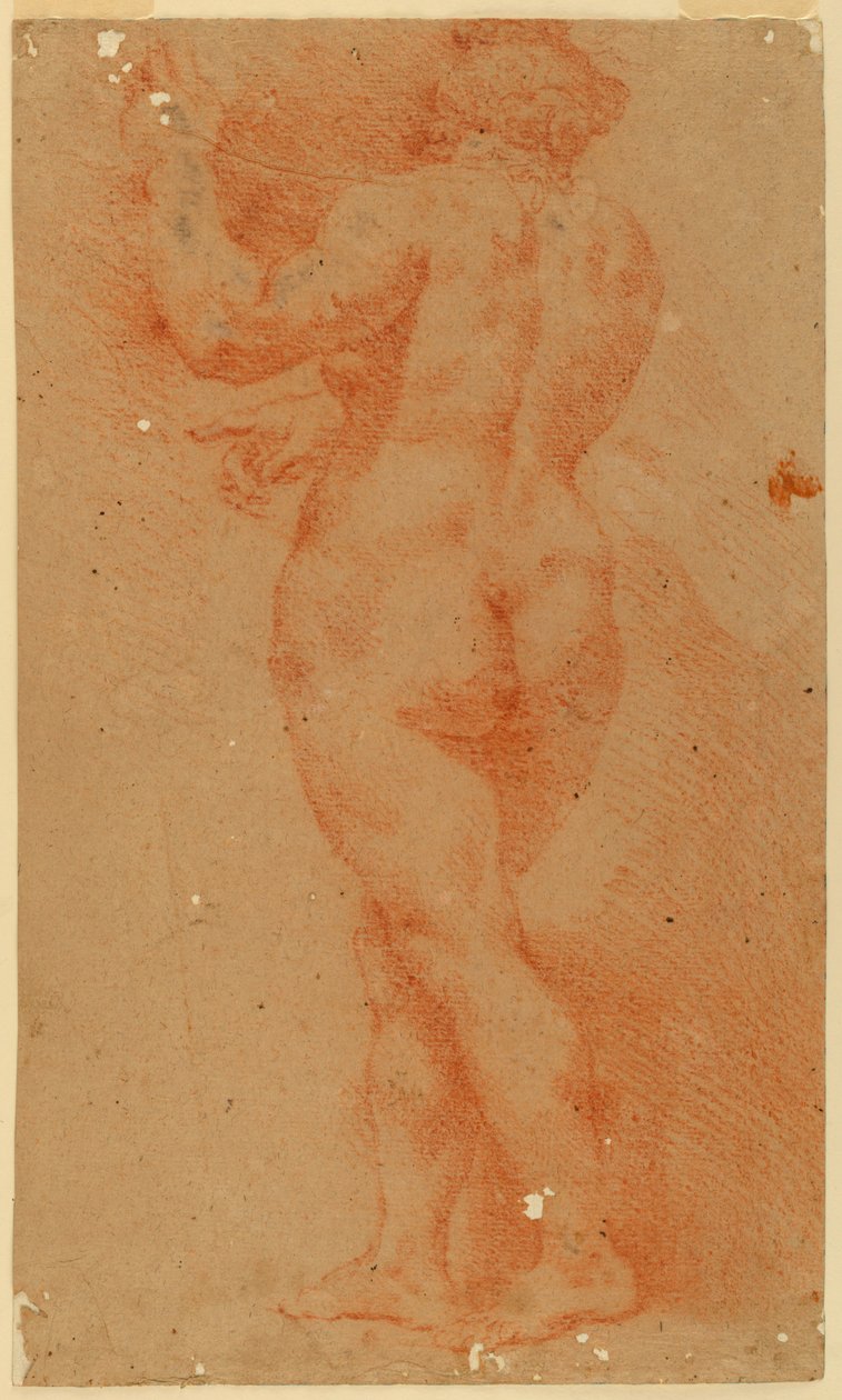 Estudio de contraprueba de una mujer desnuda de Unknown artist