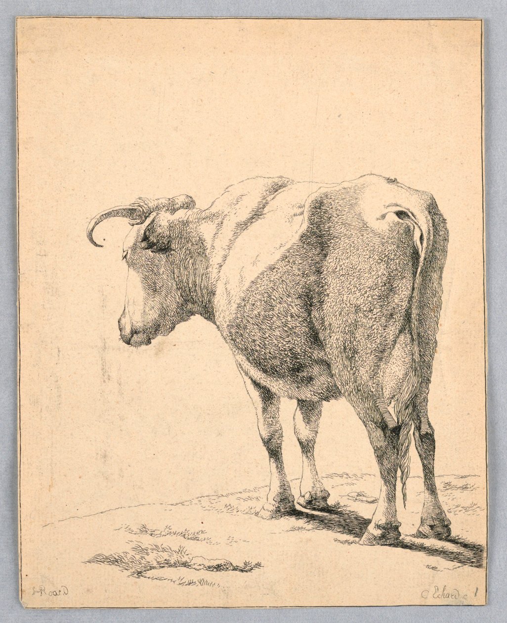 Vaca de Unknown artist