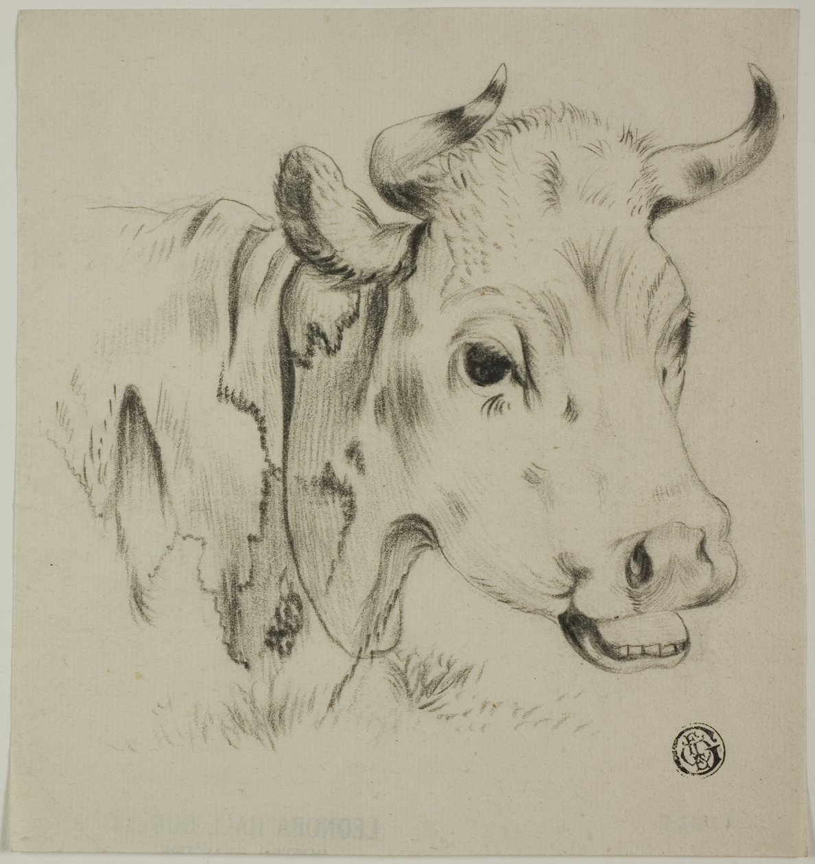 Cabeza de vaca de Unknown artist