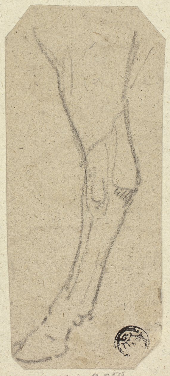 Pata de vaca de Unknown artist
