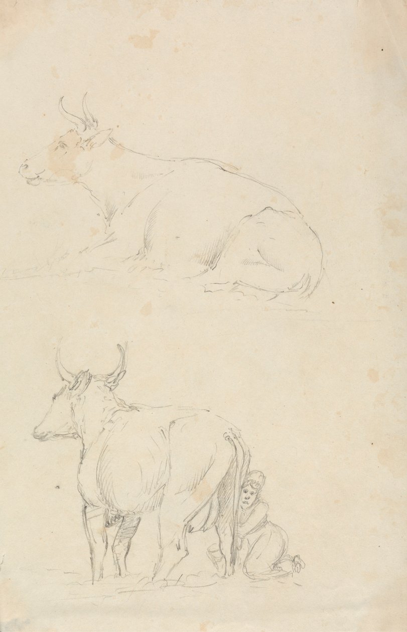 Vacas y lecheras de Unknown artist