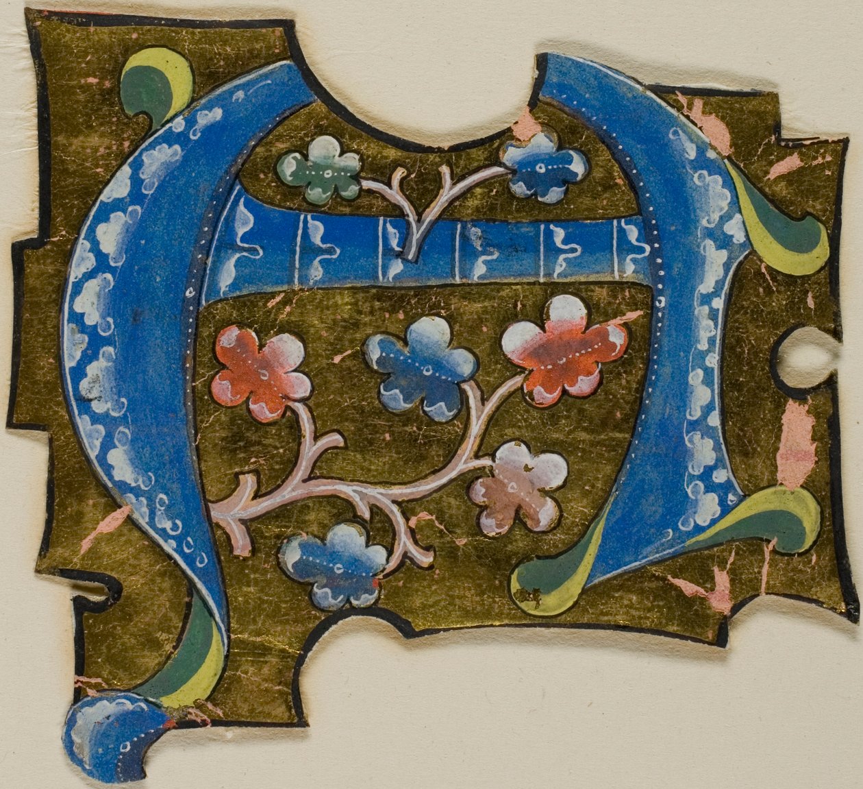 Inicial "A" decorada en azul con hojas de un manuscrito de Unknown artist