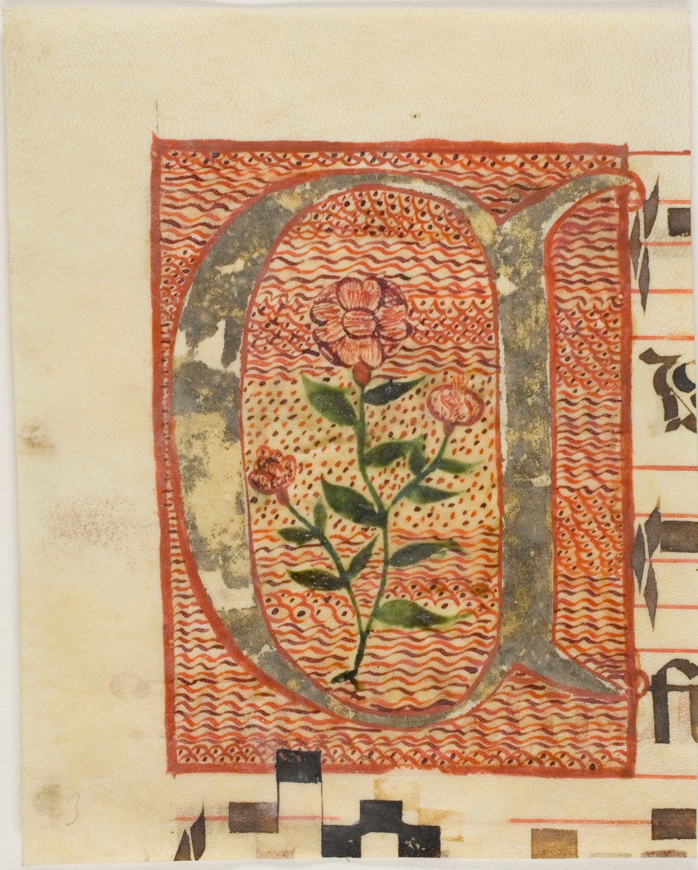 Inicial "A" decorada con flor de un manuscrito de Unknown artist