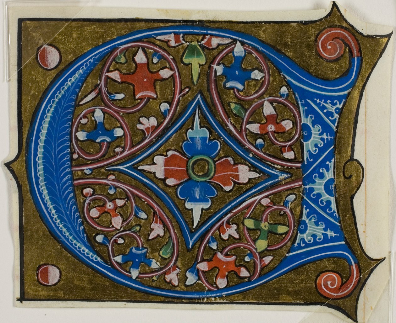 Inicial "D" decorada con hojas y dos bolas de un libro coral de Unknown artist
