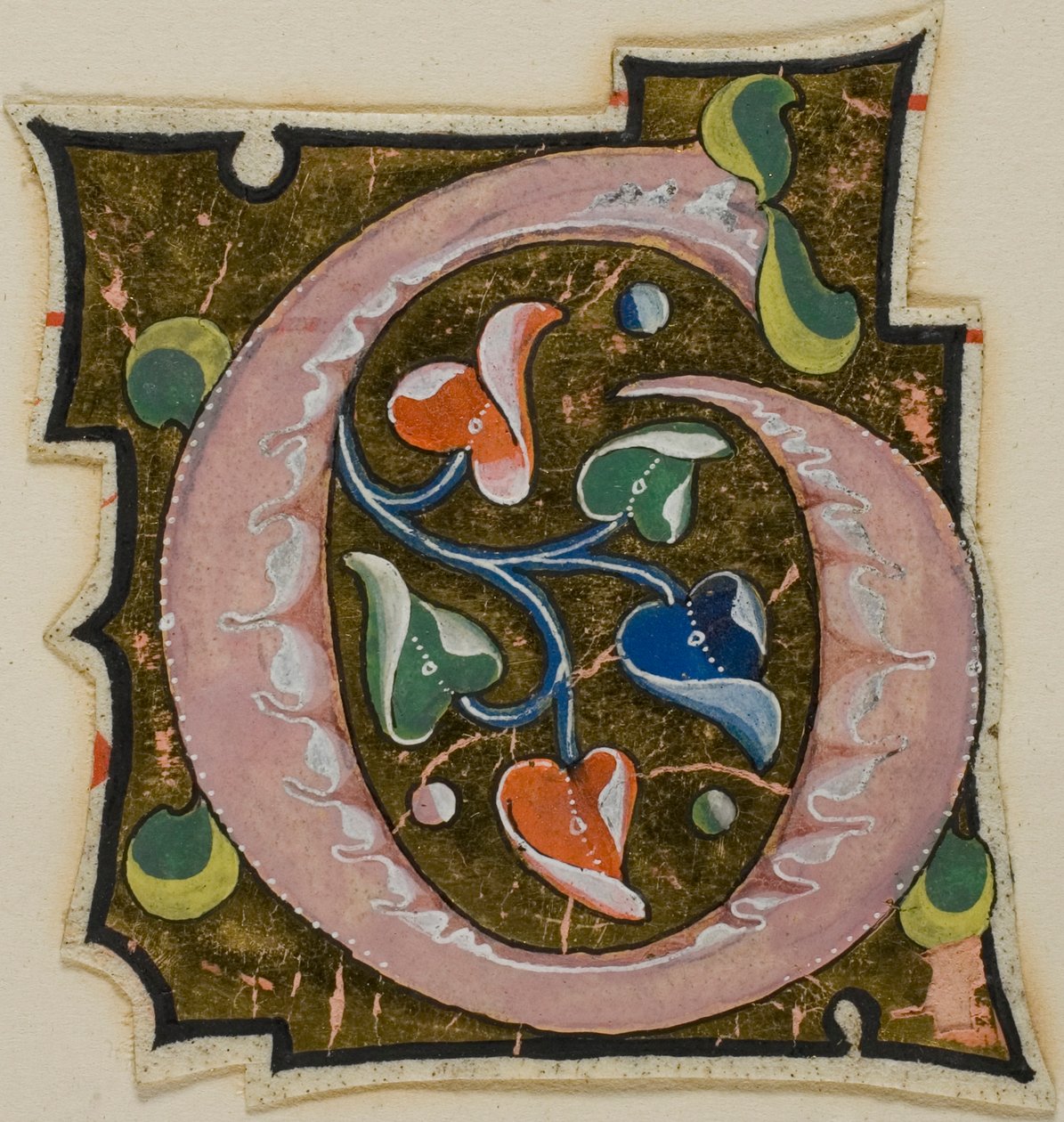 Inicial "G" decorada en rosa con hojas rizadas de un manuscrito de Unknown artist