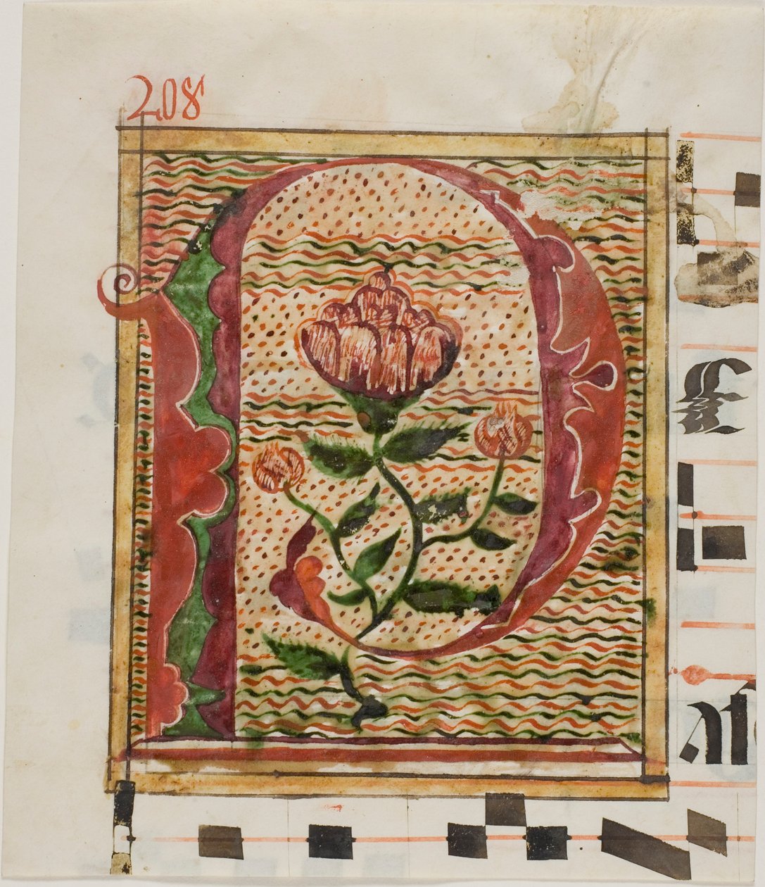 Inicial "P" decorada con flores de un manuscrito de Unknown artist