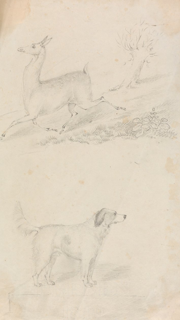 Ciervo y perro de Unknown artist