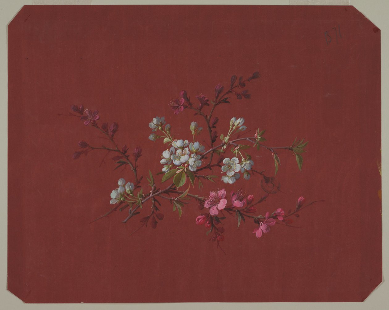 Diseño para Papel Tapiz y Textiles: Flores de Unknown artist